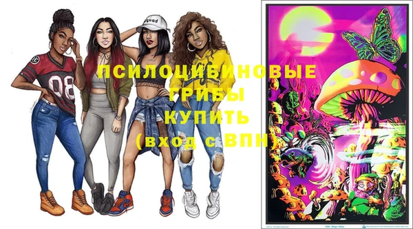 гашик Каменск-Шахтинский
