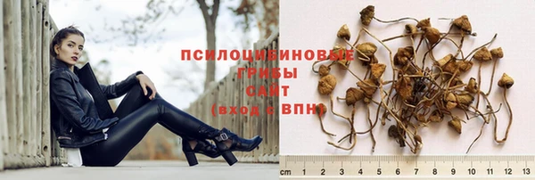 гашик Каменск-Шахтинский