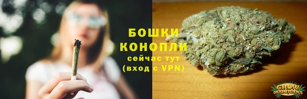 ПСИЛОЦИБИНОВЫЕ ГРИБЫ Горняк