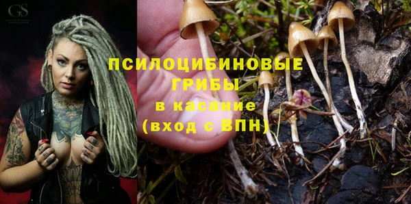 а пвп мука Каменка