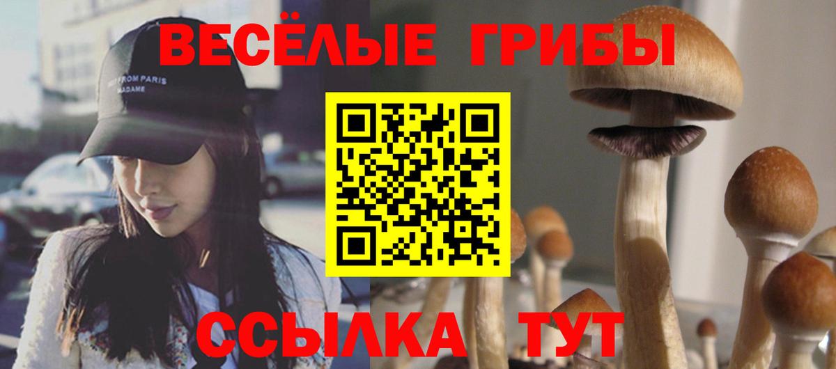 Галлюциногенные грибы Magic Shrooms Химки